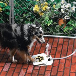 Clever Doggy Outdoor Pet Water Fountain